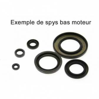 KIT RETENES MOTOR CENTAURO KYMCO 666A065SR