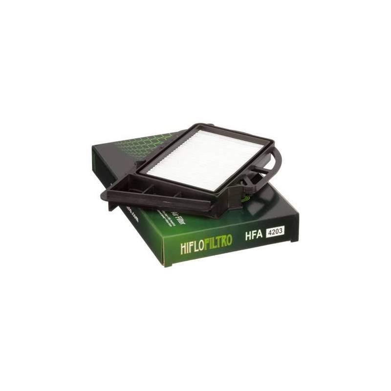 Filtro Aire Hiflofiltro HFA4203