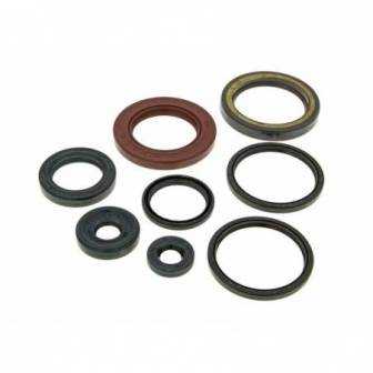 KIT RETENES NARAKU MOTOR SUZUKI BURGMAN 250 AN250 98-02 E1