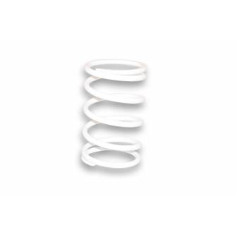 Muelle Polea conducida Malossi Blanco Aprilia SR 50 297047W0